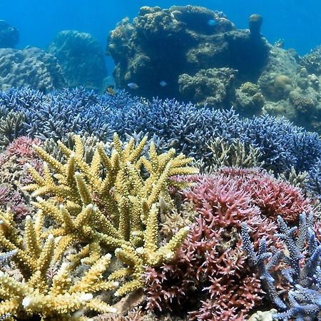 Alam Karang Otel Gili Gede Dış mekan fotoğraf
