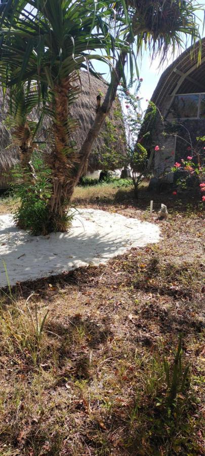 Alam Karang Otel Gili Gede Dış mekan fotoğraf